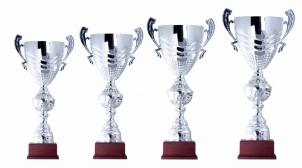 0045 Quality sport cup