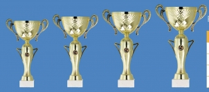 0057 Standard sport cup