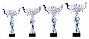 0063 Standard sport cup