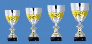 0069 Standard sport cup