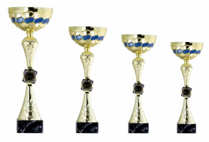 0076 Copa esport econ&ograve;miques