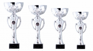 0080 Copa esport econ&ograve;miques