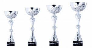 0083 Copa esport econ&ograve;miques