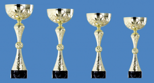 0084 Copa esport econ&ograve;miques