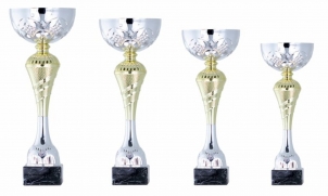 0086 Copa esport econ&ograve;miques