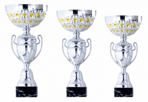 0091B Copa esport econ&ograve;miques