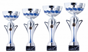 0092 Copa esport econ&ograve;miques