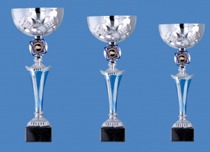 0095 Copa esport econ&ograve;miques