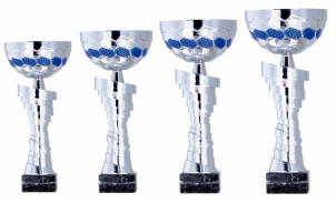 0096 Copa esport econ&ograve;miques