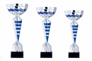 0097 Copa esport econ&ograve;miques