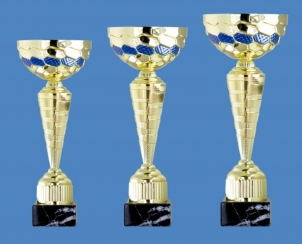 0098 Copa esport econ&ograve;miques