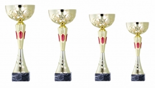 0101 Economic sport cup