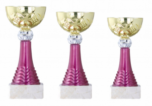 0135 Copa esport econ&ograve;miques