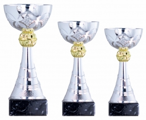 0138 Copa esport econ&ograve;miques