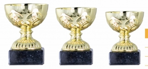 0141 Economic sport cup