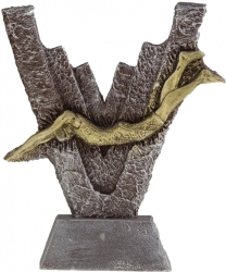 2321 Trofeu Natació