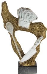 2457 Trophies  Cooking