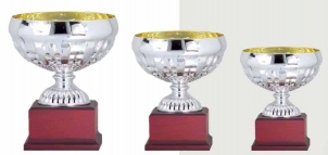 0334 Copa Esport Estàndard