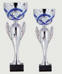 0379 Copa Esport Econòmica