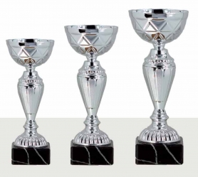 0412 Copa Esport Econòmica