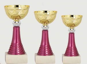 0416 Copa Esport Econòmica