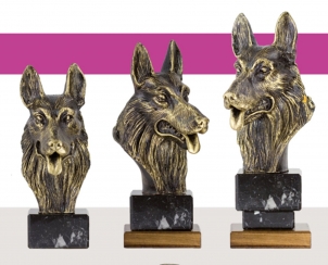 5119 Trophée du chienS